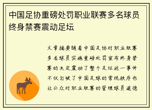 中国足协重磅处罚职业联赛多名球员终身禁赛震动足坛 中国足协重磅处罚职业联赛多名球员终身禁赛震动足坛